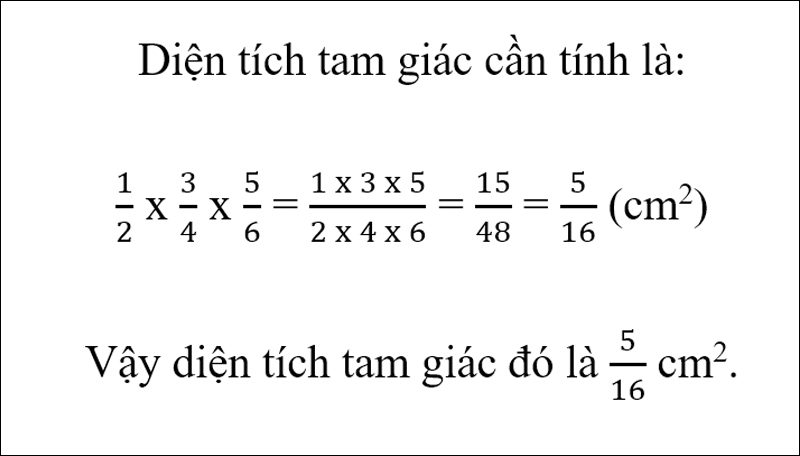 Bài giải bài tập 8